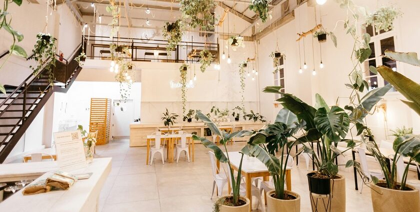 Cosy cafe interior with wooden tables, chairs, and hanging plants at Café Down Under, one of the scenic cafes in Port Blair.