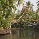 A boat glides through Kerala’s serene backwaters surrounded by palm trees for camping in Kerala.
