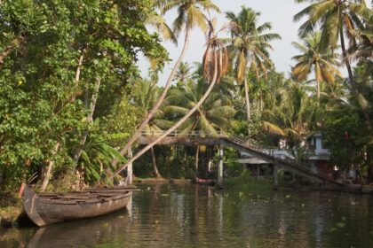A boat glides through Kerala’s serene backwaters surrounded by palm trees for camping in Kerala.