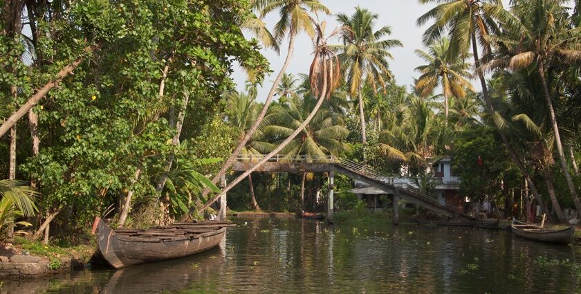 A boat glides through Kerala’s serene backwaters surrounded by palm trees for camping in Kerala.