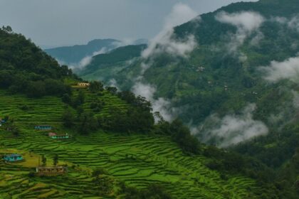 A view of the lush green terraced field in Uttarakhand during the daytime with fog.