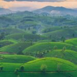 Udaipur hills are surrounded by lush green hills, one of the serene hill stations in Rajasthan.