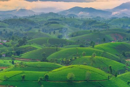 Udaipur hills are surrounded by lush green hills, one of the serene hill stations in Rajasthan.
