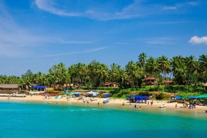 Scenic beach with sandy shore and palm trees, showcasing the islands in Goa.