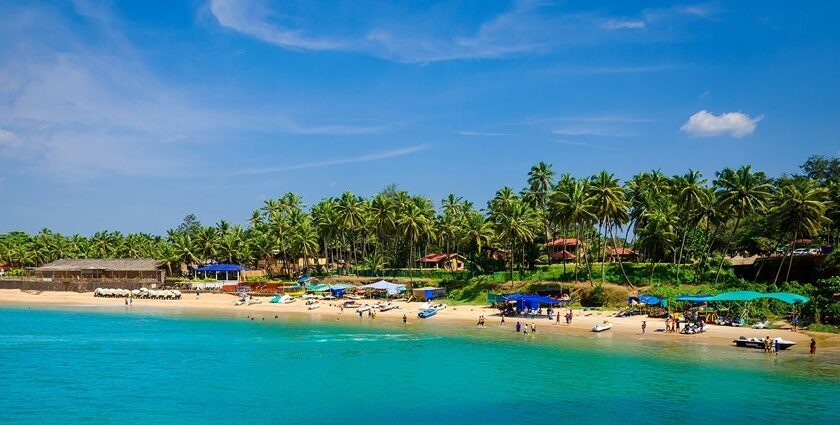 Scenic beach with sandy shore and palm trees, showcasing the islands in Goa.