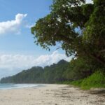Scenic beach view on Havelock Island, one of the top islands in the Andaman.