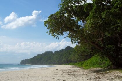 Scenic beach view on Havelock Island, one of the top islands in the Andaman.