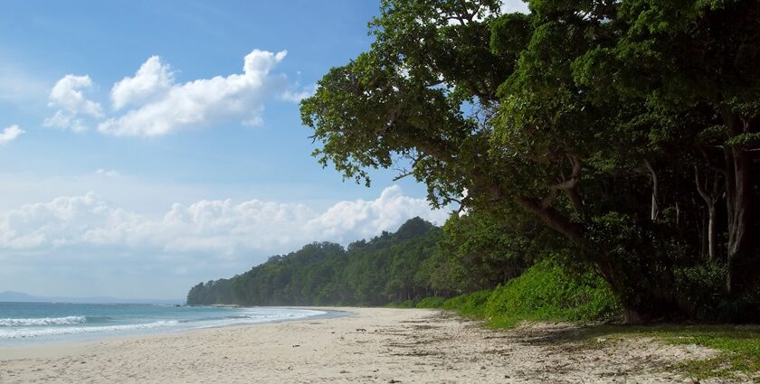 Scenic beach view on Havelock Island, one of the top islands in the Andaman.