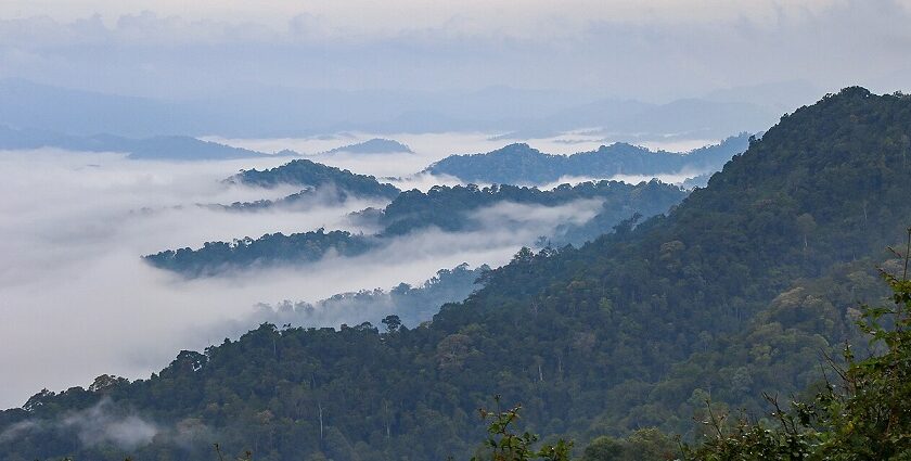 Khao Phanoen Thung viewpoint scenic view in Kaeng Krachan, one of the best national parks in Thailand.