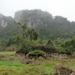 Misty hills and rocky outcrops at Cat Ba, one of the top national parks in Vietnam.