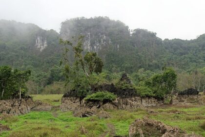 Misty hills and rocky outcrops at Cat Ba, one of the top national parks in Vietnam.