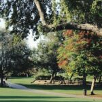 Creek Park in Dubai, with shaded lawns and water views, is a top pick among parks in Dubai.