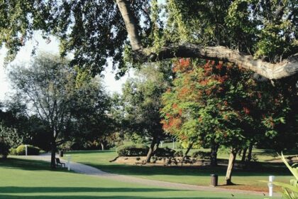 Creek Park in Dubai, with shaded lawns and water views, is a top pick among parks in Dubai.
