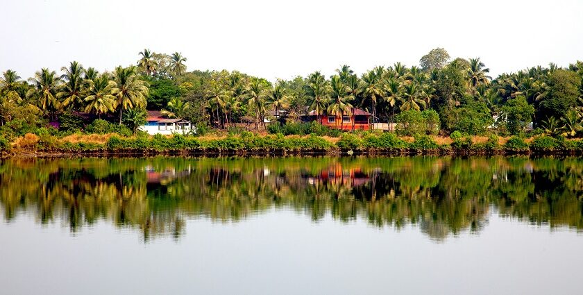 Scenic view of Mayem Lake at Mayem Lake Eco Park, one of the parks in Goa.
