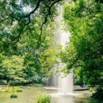 Fountain and green forest view at Kowloon Park, Tsim Sha Tsui, Parks in Hong Kong.