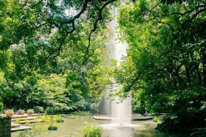 Fountain and green forest view at Kowloon Park, Tsim Sha Tsui, Parks in Hong Kong.