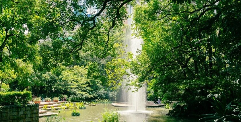 Fountain and green forest view at Kowloon Park, Tsim Sha Tsui, Parks in Hong Kong.