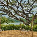 Scenic view of Jurong Lake Gardens, one of the top parks in Singapore.