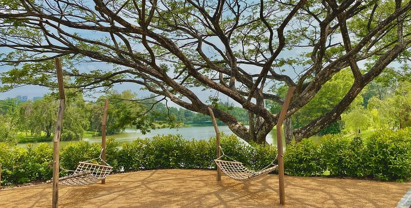 Scenic view of Jurong Lake Gardens, one of the top parks in Singapore.