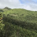 Tadiandamol trek showcases lush hills and forests, a top spot for trekking in Karnataka.