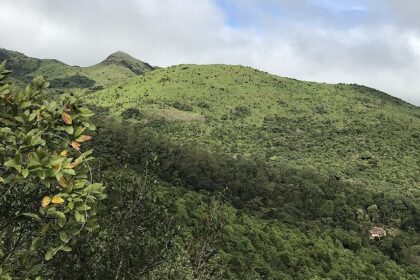 Tadiandamol trek showcases lush hills and forests, a top spot for trekking in Karnataka.