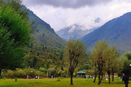 Lush green landscape of Betaab Valley, one of the beautiful valleys in Kashmir.