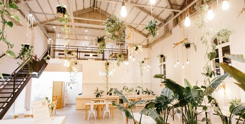 Tom & Jerry's Cafe interior with wooden tables, planters, and elegant decor, one of the beautiful cafes in Darjeeling.