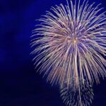 Fireworks light up the night sky during the New Year in Tamil Nadu celebrations.