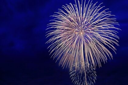 Fireworks light up the night sky during the New Year in Tamil Nadu celebrations.