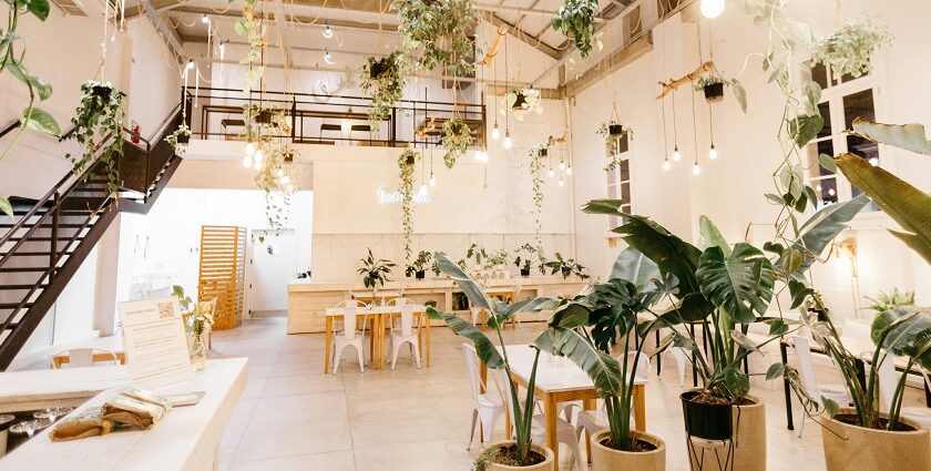 The Table Talk Cafe interior with white tables, chairs, and green plants, one of the best cafes in Uzan Bazar Guwahati.
