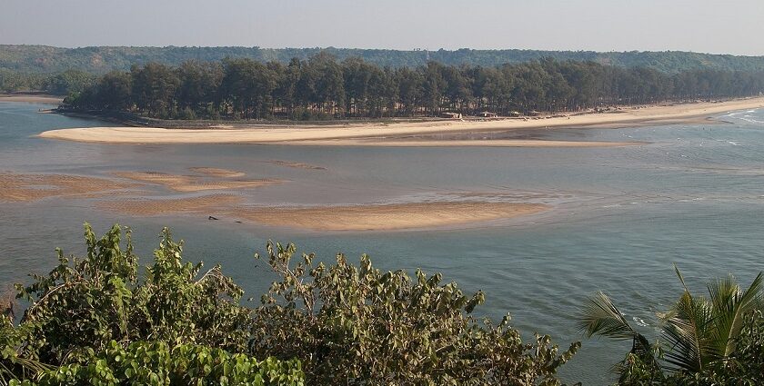 Scenic view of river meeting Querim Beach in Goa perfect for road trips from Goa.