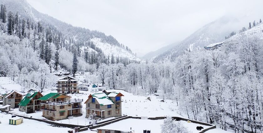 Solang Valley in Manali covered in fresh snow with mountains and pine trees around.